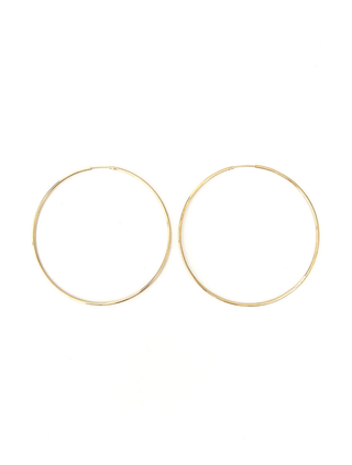 Gold Hoop Earrings