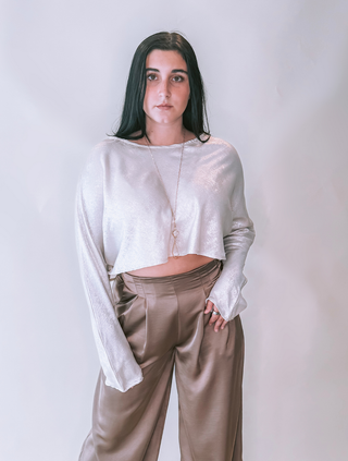 Cream Crew Neck Long Sleeve Shimmer Crop Blouse
